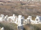 Delos