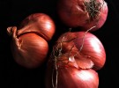 Onion study