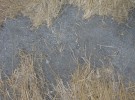 soft floor