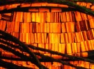Amber Arrangement