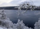 snow on bough over Loch of the Naga