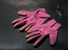 The gardener's gloves