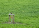 Green Field and Water Pump