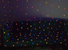 kusama
