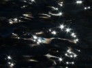 stars in the ocean