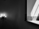 seeking light