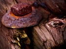 rusted bolt