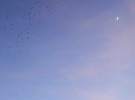 Fly me to the moon