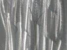silvery