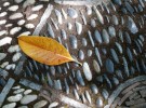 On the stony path