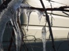 Iced vines