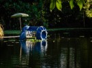 Paddle Boat