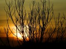 Pôr-do-sol sunset