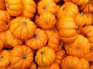 Pumpkins