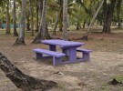 Purple table     