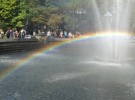 Colors of Rainbow