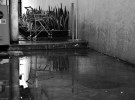 Reflecting Cart