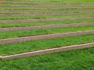 Roof of grass