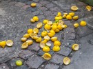 Lemons