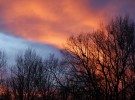 Fire in the sky