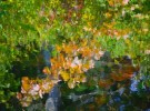 monet
