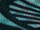 Braided Rug