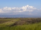 South Bay Marsh