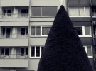 Pine tree angle