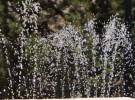 Joyful Water