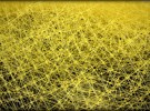 yellow netting