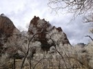 Zion in Winter 2014