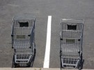 Shopping Carts