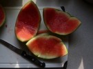 Watermelon Slices