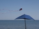 Blue Umbrella 