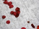 Rose Petals