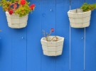 Flower Pots