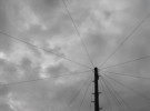 network