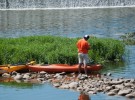 Fishing under the bridge