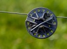 electric fence
