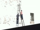 Man on Ladder