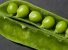 Peas in Pod e