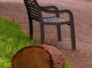 bench