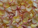 Rose Petals