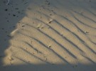Shade in the sand.
