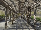 Light through arbor in Central Park